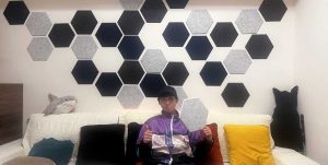 CoCo-Home宅家居_免膠立體吸音隔音板_案例分享