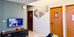 CoCo-Home宅家居裝修_免膠立體吸音隔音版_客戶完工案例