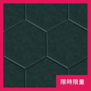 CoCo-Home免膠立體吸音隔音板_六角形森林綠-限時限量