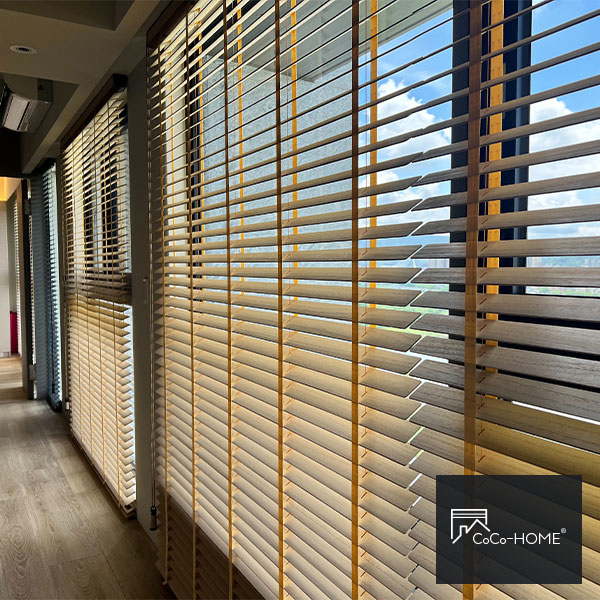 blind_shop_ol0536_01